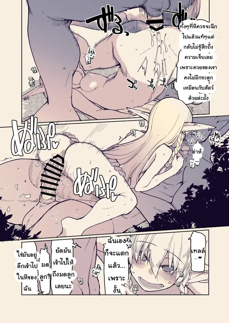 บันทึกข้ามสายพันธุ์ของสาวเอลฟ์ 13 13