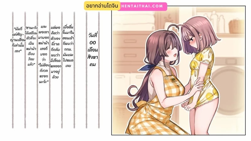 มือใหม่หัดไลฟ์สด 11 2