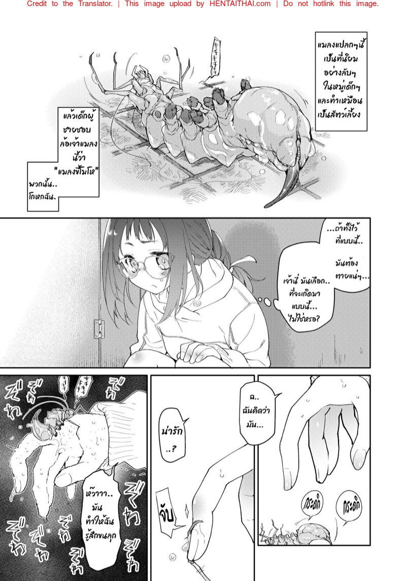 ไอ้แมงปอแมน 6