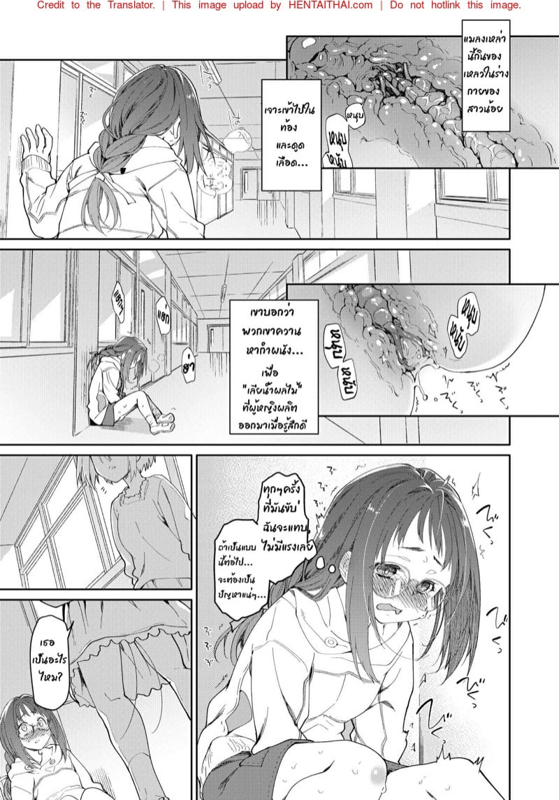 ไอ้แมงปอแมน 10