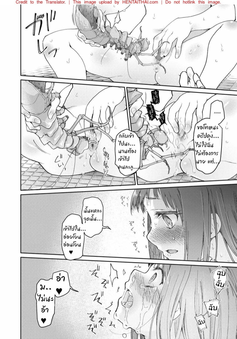 ไอ้แมงปอแมน 21
