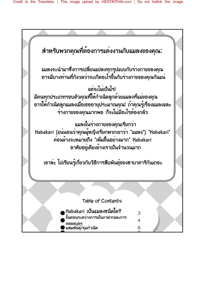 ไอแมงปอแมน 2 42
