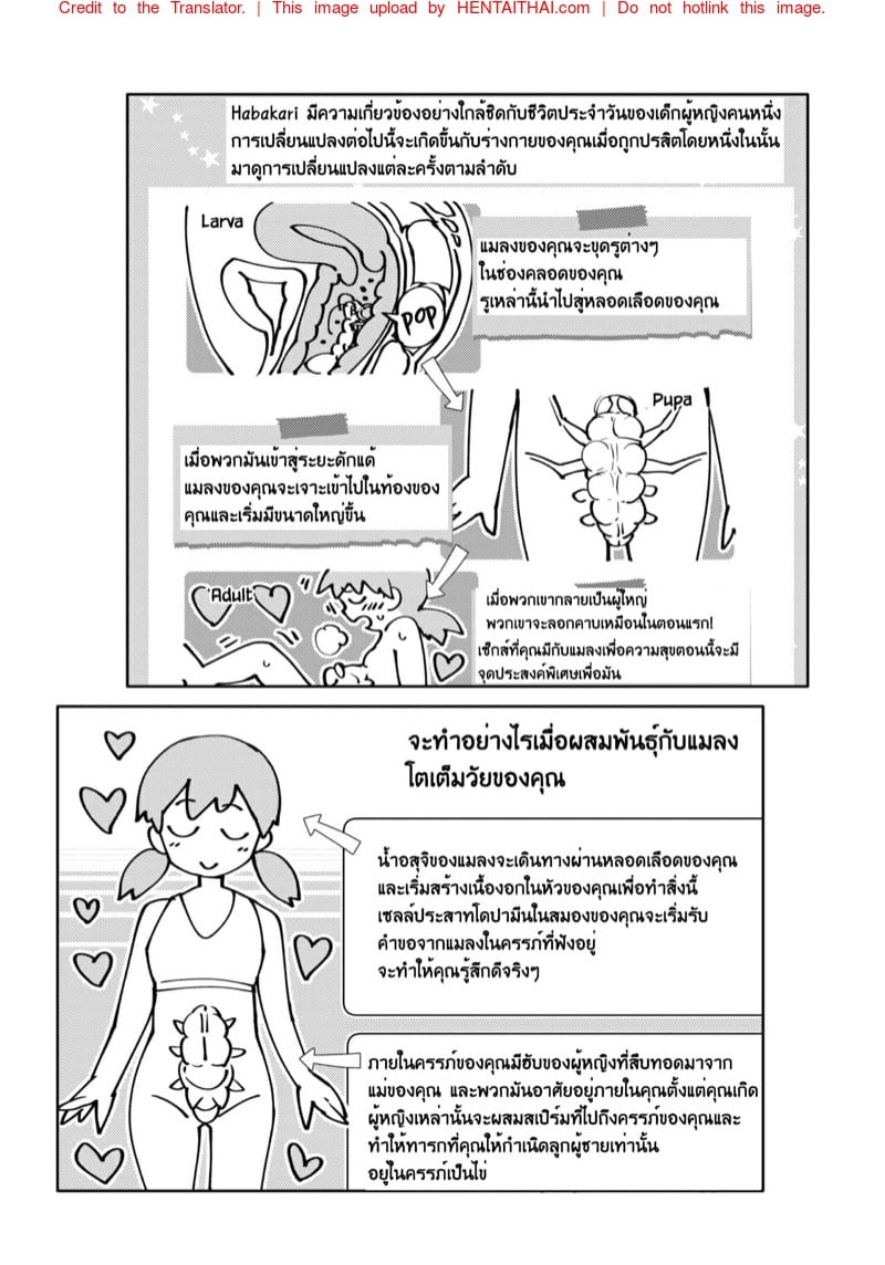 ไอแมงปอแมน 2 43