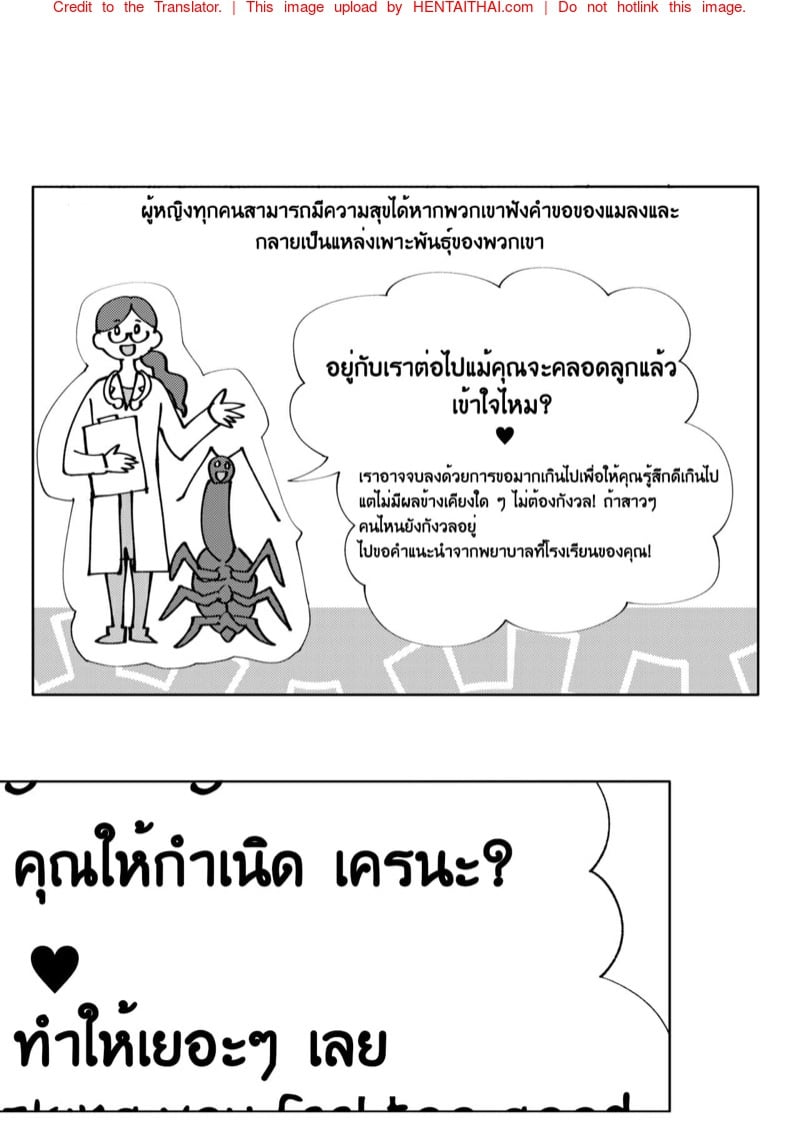 ไอแมงปอแมน 2 45