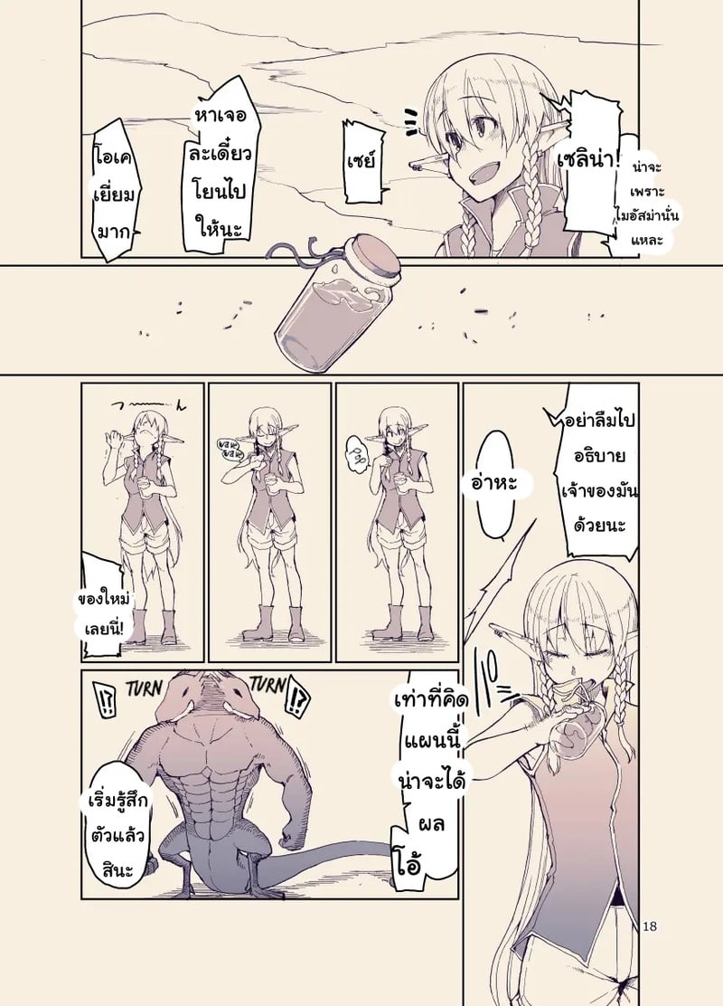บันทึกข้ามสายพันธุ์ของสาวเอลฟ์ 17